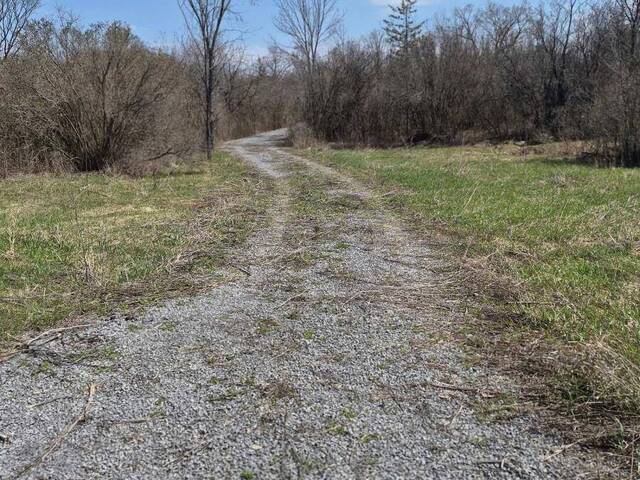 LOT 2 PETWORTH ROAD Stone Mills Ontario, K0K 3N0 - Waterfront Land For Sale
