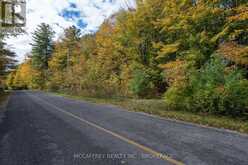0 CLEAR LAKE ROAD | Rideau Lakes Ontario | Slide Image Twenty-seven