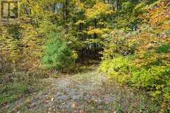 0 CLEAR LAKE ROAD | Rideau Lakes Ontario | Slide Image Twenty-eight