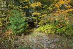 0 CLEAR LAKE ROAD | Rideau Lakes Ontario | Slide Image Twenty-nine