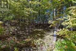 0 CLEAR LAKE ROAD | Rideau Lakes Ontario | Slide Image Thirty