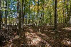 0 CLEAR LAKE ROAD | Rideau Lakes Ontario | Slide Image Thirty-two