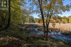 0 CLEAR LAKE ROAD | Rideau Lakes Ontario | Slide Image Thirty-three
