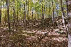0 CLEAR LAKE ROAD | Rideau Lakes Ontario | Slide Image Thirty-six