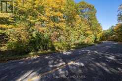 0 CLEAR LAKE ROAD | Rideau Lakes Ontario | Slide Image Thirty-seven