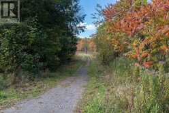 0 CLEAR LAKE ROAD | Rideau Lakes Ontario | Slide Image Thirty-nine