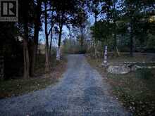 1679 MOUNTAIN ROAD | Westport Ontario | Slide Image Thirteen