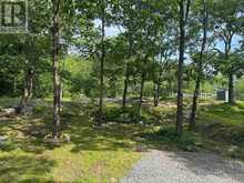 1679 MOUNTAIN ROAD | Westport Ontario | Slide Image Eight