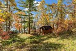 2089 CROW LAKE ROAD | South Frontenac Ontario | Slide Image Thirty-nine