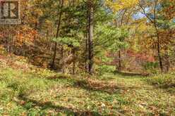 2089 CROW LAKE ROAD | South Frontenac Ontario | Slide Image Forty