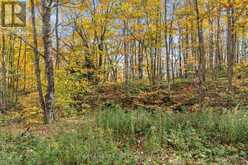 LOT 0 SWEETFERN LANE | South Frontenac Ontario | Slide Image Six