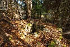 LOT 6 CALIFORNIA ROAD | Stone Mills Ontario | Slide Image Thirty