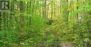 LOT 6 CALIFORNIA ROAD | Stone Mills Ontario | Slide Image Forty-two
