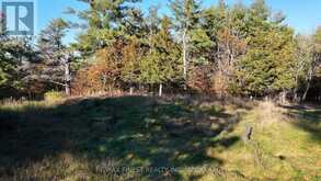 187 WEISIGER LANE | Kingston Ontario | Slide Image Ten