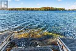 924 BLUE RUN LANE | Leeds and the Thousand Islands Ontario | Slide Image Sixteen