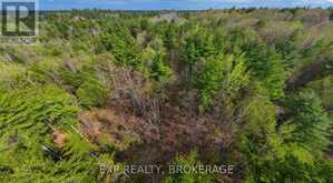 LOT 1 ROAD 38 | South Frontenac Ontario | Slide Image Two