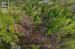LOT 1 ROAD 38 | South Frontenac Ontario | Slide Image Eight
