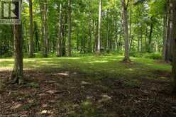 2605 WINDHAM EAST QUARTER LINE Road | Vanessa Ontario | Slide Image Four