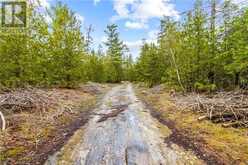 LOT 41 & 42 4 Concession | Northern Bruce Peninsula Ontario | Slide Image Eight