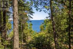 201 LITTLE COVE Road | Tobermory Ontario | Slide Image Forty-five