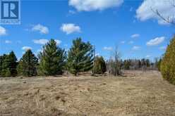 305765 180 SIDEROAD | Grey Highlands Ontario | Slide Image Three