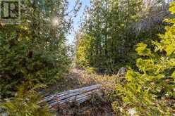 PART 10 FOX Trail | Miller Lake Ontario | Slide Image Fifteen