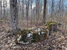 PT LT 24 BIG ROCK Road | Georgian Bluffs Ontario | Slide Image Three