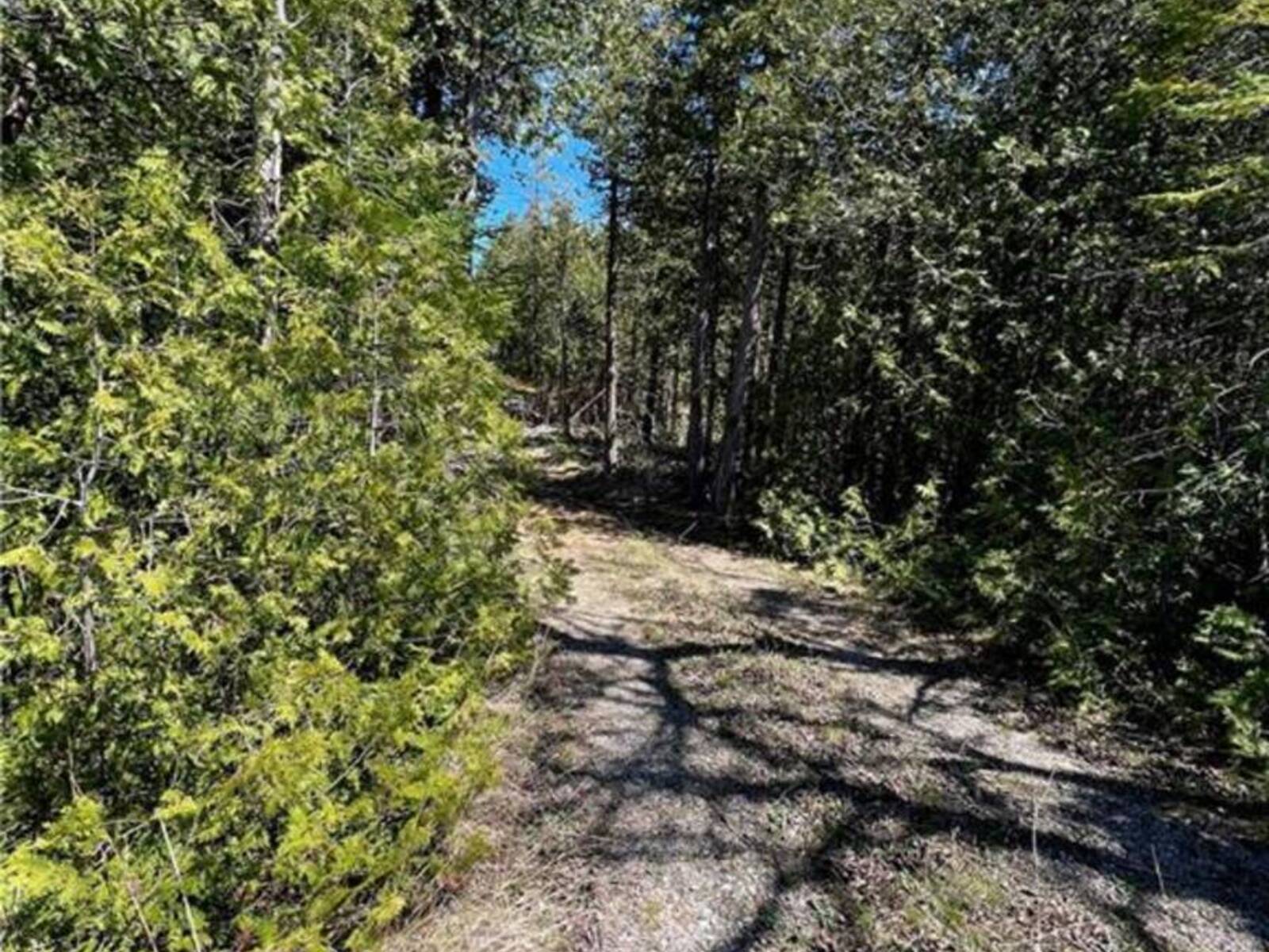 LOT 32 CON 3 HIGHWAY 6, South Bruce Peninsula, Ontario N0H 2T0