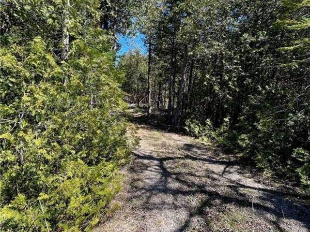 LOT 32 CON 3 HIGHWAY 6 South Bruce Peninsula Ontario, N0H 2T0