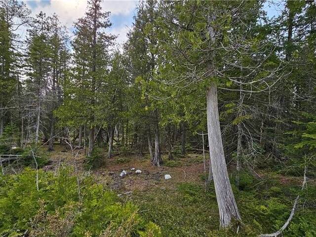 LT 254 PL 433 DORCAS BAY Road Northern Bruce Peninsula Ontario, N0H 2R0