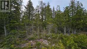 LT 255 PL 433 PEDWELL PT Drive | Northern Bruce Peninsula Ontario | Slide Image Ten