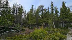 LT 255 PL 433 PEDWELL PT Drive | Northern Bruce Peninsula Ontario | Slide Image Twelve