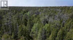 LT 255 PL 433 PEDWELL PT Drive | Northern Bruce Peninsula Ontario | Slide Image Nineteen