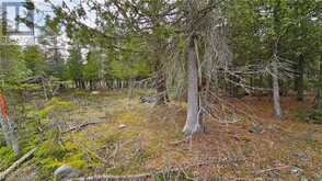 LT 255 PL 433 PEDWELL PT Drive | Northern Bruce Peninsula Ontario | Slide Image Seven