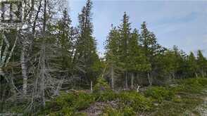 LT 255 PL 433 PEDWELL PT Drive | Northern Bruce Peninsula Ontario | Slide Image Eight