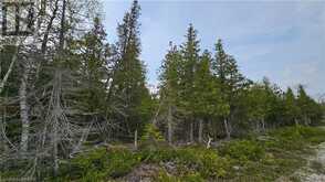 LT 255 PL 433 PEDWELL PT Drive | Northern Bruce Peninsula Ontario | Slide Image Nine