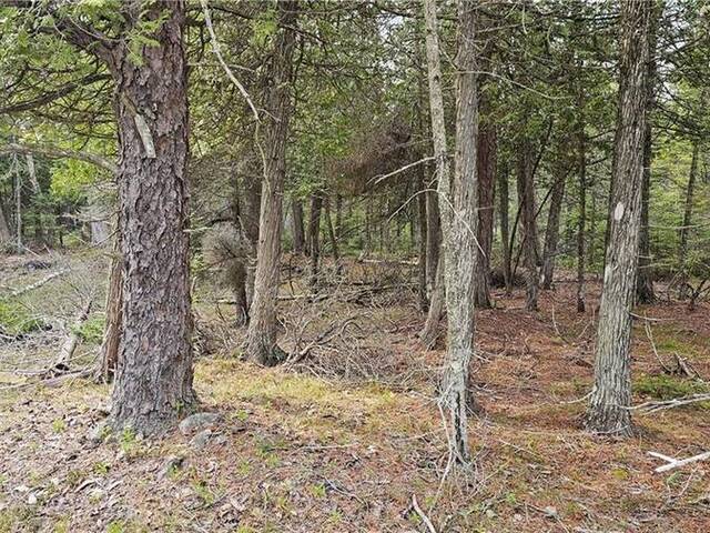 LT 255 PL 433 PEDWELL PT Drive Northern Bruce Peninsula Ontario, N0H 2R0