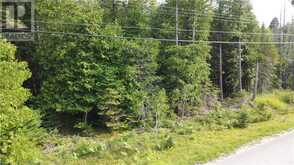 PART LOT 5 WHISKEY HARBOUR Road | Northern Bruce Peninsula Ontario | Slide Image Four