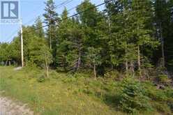 PART LOT 5 WHISKEY HARBOUR Road | Northern Bruce Peninsula Ontario | Slide Image Five