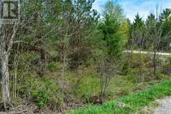 CON 3 EGR PT LOT 63 PCL 4 CONCESSION | Chatsworth Ontario | Slide Image Three