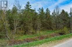 CON 3 EGR PT LOT 63 PCL 4 CONCESSION | Chatsworth Ontario | Slide Image Four