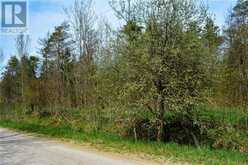 CON 3 EGR PT LOT 63 PCL 3 CONCESSION | Chatsworth Ontario | Slide Image Three