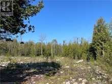 LOT 13 EAST Road | Northern Bruce Peninsula Ontario | Slide Image Twelve