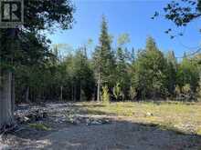 LOT 13 EAST Road | Northern Bruce Peninsula Ontario | Slide Image Fourteen