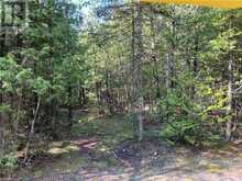 LOT 13 EAST Road | Northern Bruce Peninsula Ontario | Slide Image Nineteen