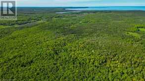 LOT 13 EAST Road | Northern Bruce Peninsula Ontario | Slide Image Twenty-four