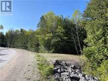 LOT 13 EAST Road | Northern Bruce Peninsula Ontario | Slide Image Seven