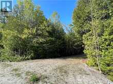 LOT 13 EAST Road | Northern Bruce Peninsula Ontario | Slide Image Nine