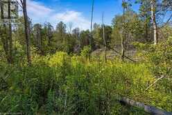 PT LT 46 HIGHWAY 6 | Tobermory Ontario | Slide Image Fourteen