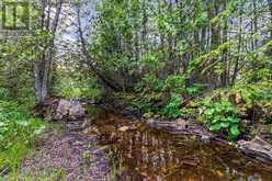 LOT 53 SPRY SHORE Road | Northern Bruce Peninsula Ontario | Slide Image Twenty-five